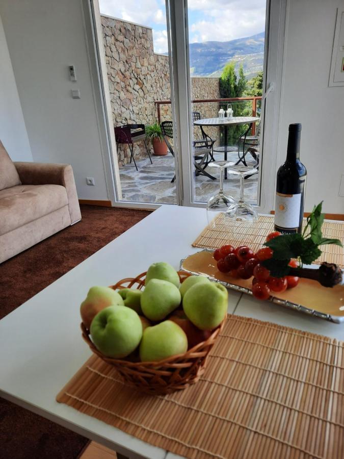Willa Quinta Do Pombal - Douro - Camila'S Lamego Zewnętrze zdjęcie